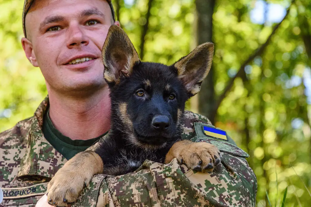 У харківській бригаді НГУ з’явився новий чотирилапий боєць – щеня Річард