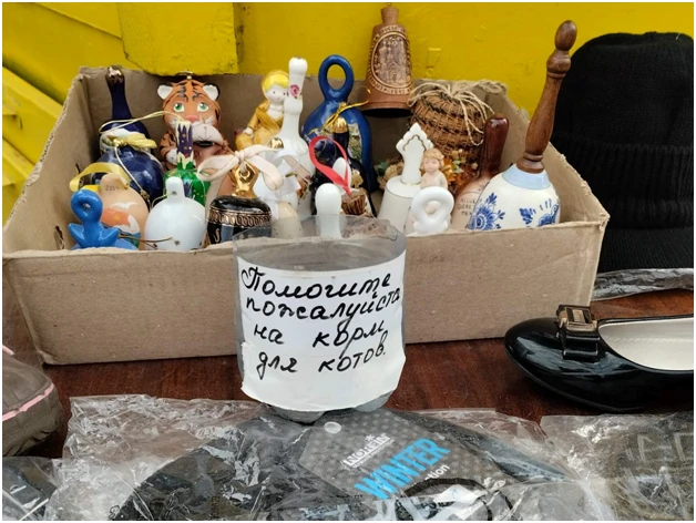 «Не волонтери, а просто люди»: як харків’яни рятують покинутих тварин під час війни