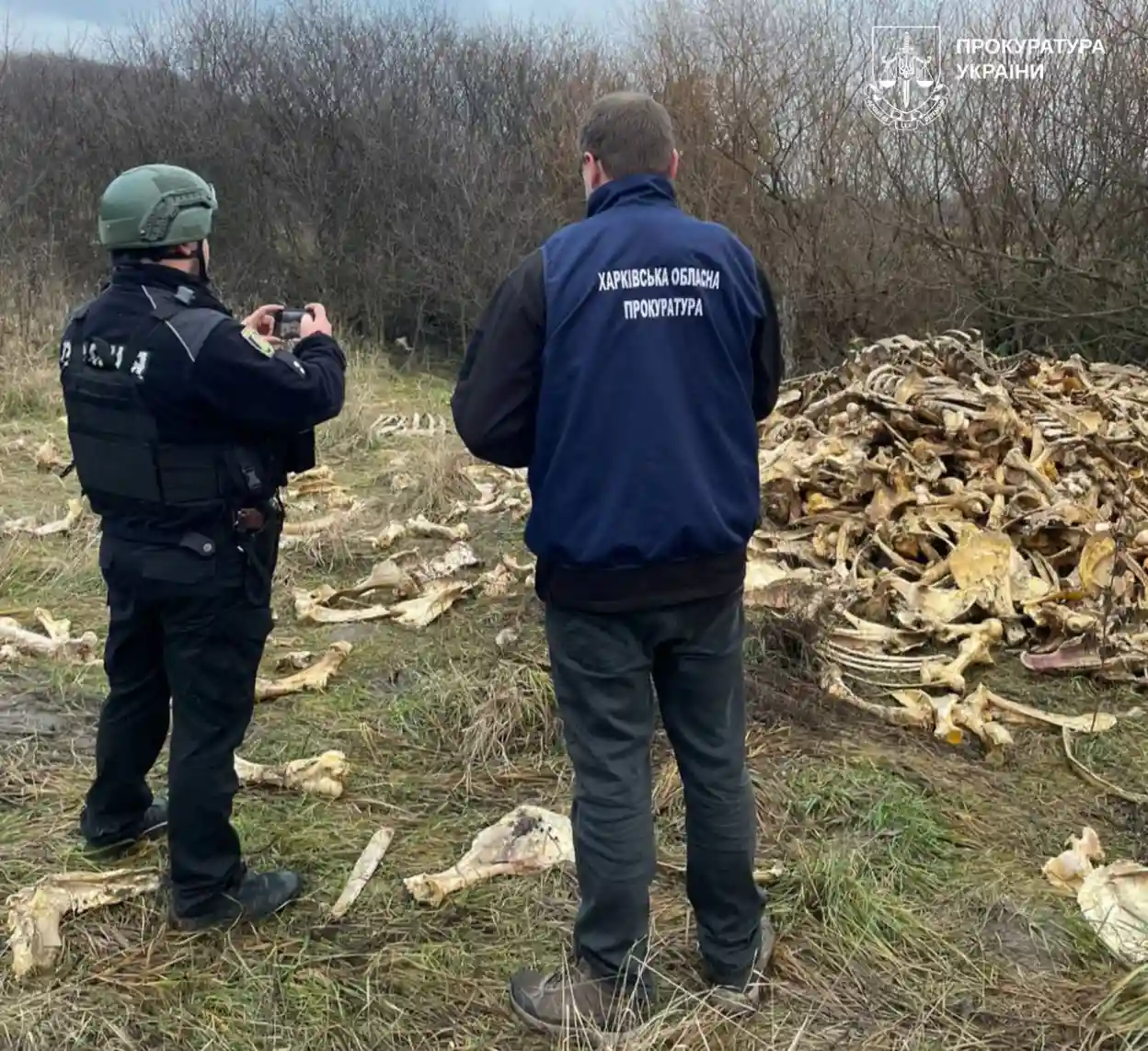 В Харківській області виявлено незаконне звалище тваринних решток
