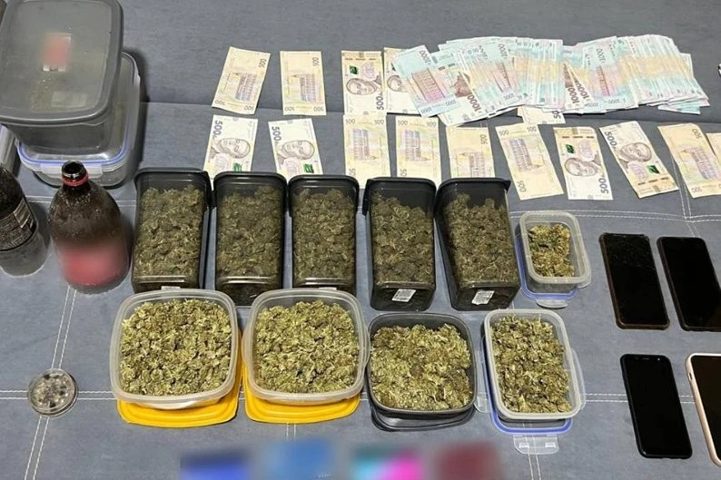Понад десять кілограмів за парканом: у передмісті Харкова викрили незаконну плантацію конопель
