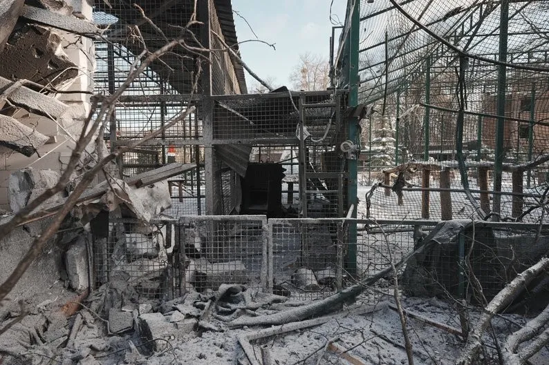 Після удару по екопарку під Харковом зоозахисники вимагають кримінальної відповідальності