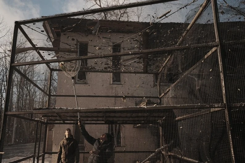 Після удару по екопарку під Харковом зоозахисники вимагають кримінальної відповідальності