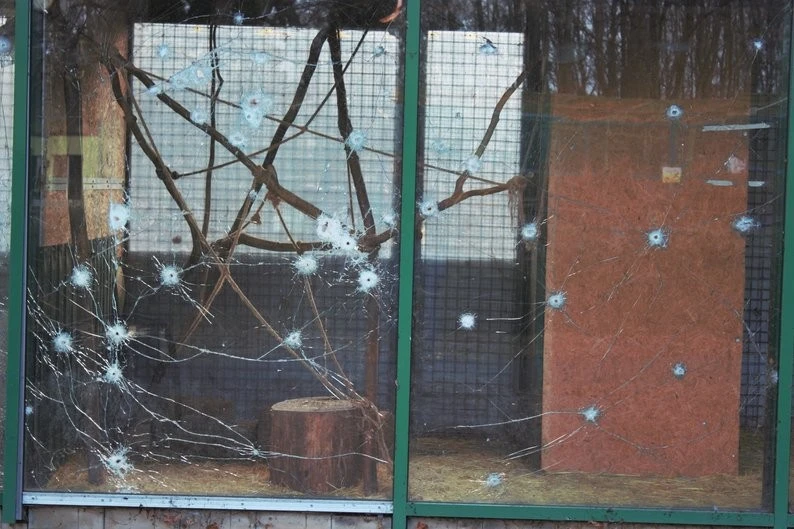 Після удару по екопарку під Харковом зоозахисники вимагають кримінальної відповідальності