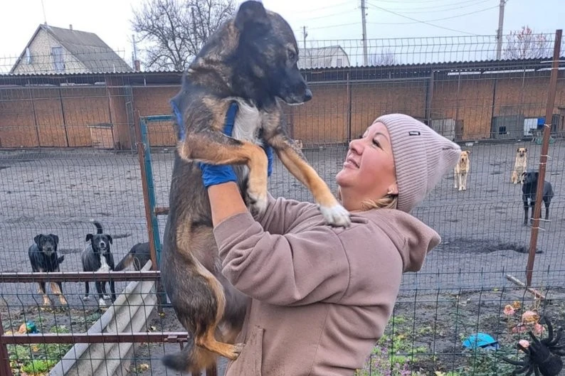 Врятовані лапи та новий дім: як притулок з Донбасу оселився в Балаклії