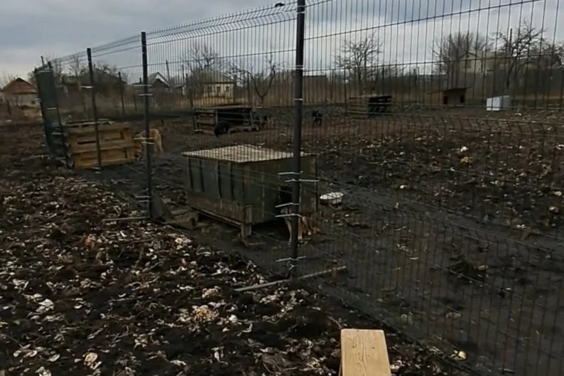 Врятовані лапи та новий дім: як притулок з Донбасу оселився в Балаклії