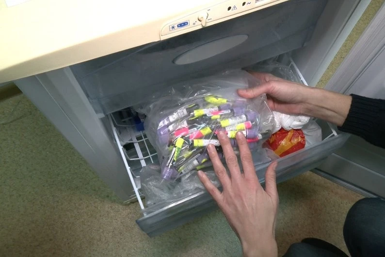 Генетичний код стійкості: як харківські науковці відроджують унікальний банк крові