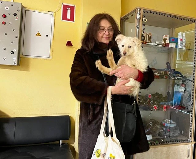 Новий шанс на життя: як харківський притулок рятує безпритульних тварин