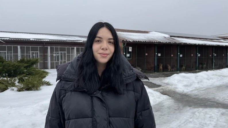 Тепло з людських плечей: як у Харкові старі светри рятують собак від аномальних морозів