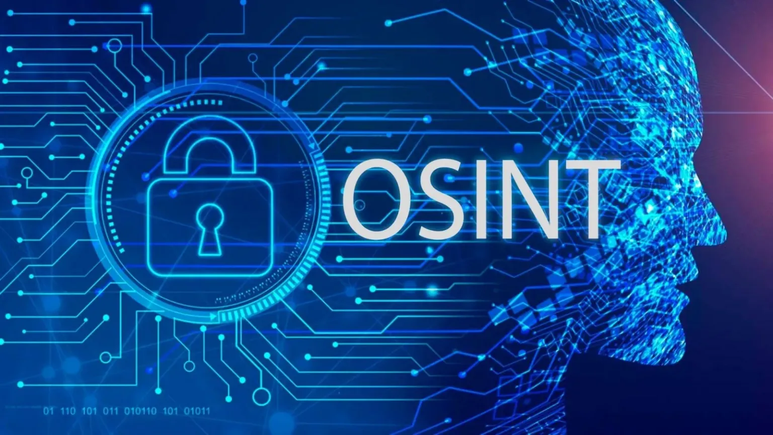 Де знайти адресу реєстрації особи в Україні: покрокова інструкція