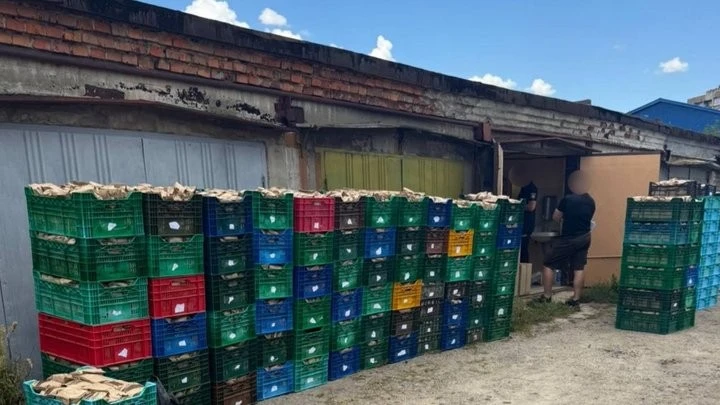 У гаражному кооперативі Харкова викрили підпільне виробництво сигарет із обігом на мільйони гривень