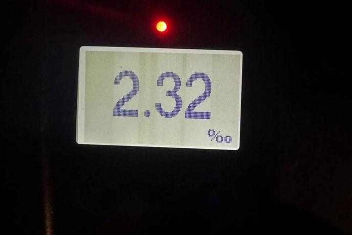 П’яний водій у Харкові протаранив дерево: рівень алкоголю перевищив норму у 12 разів