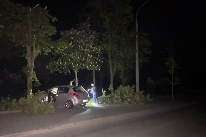 П’яний водій у Харкові протаранив дерево: рівень алкоголю перевищив норму у 12 разів