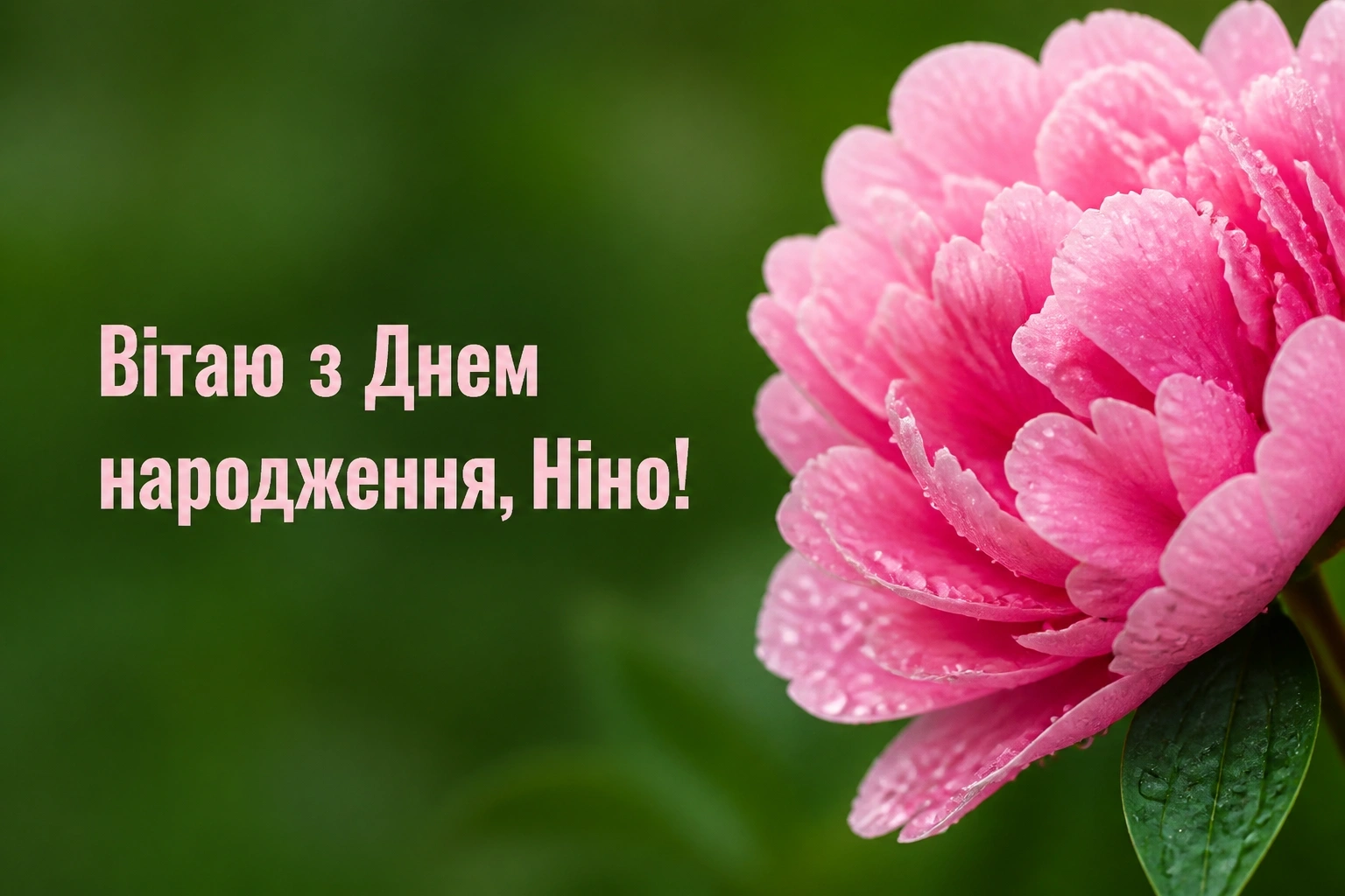 з днем народження ніна