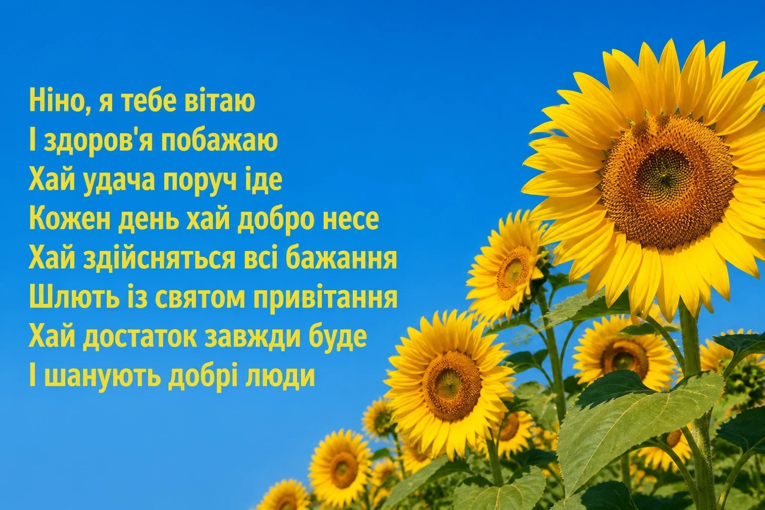 з днем народження ніна