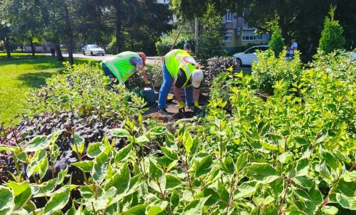 Харків’яни отримали чисті вулиці приватного сектору та тисячі нових квітів