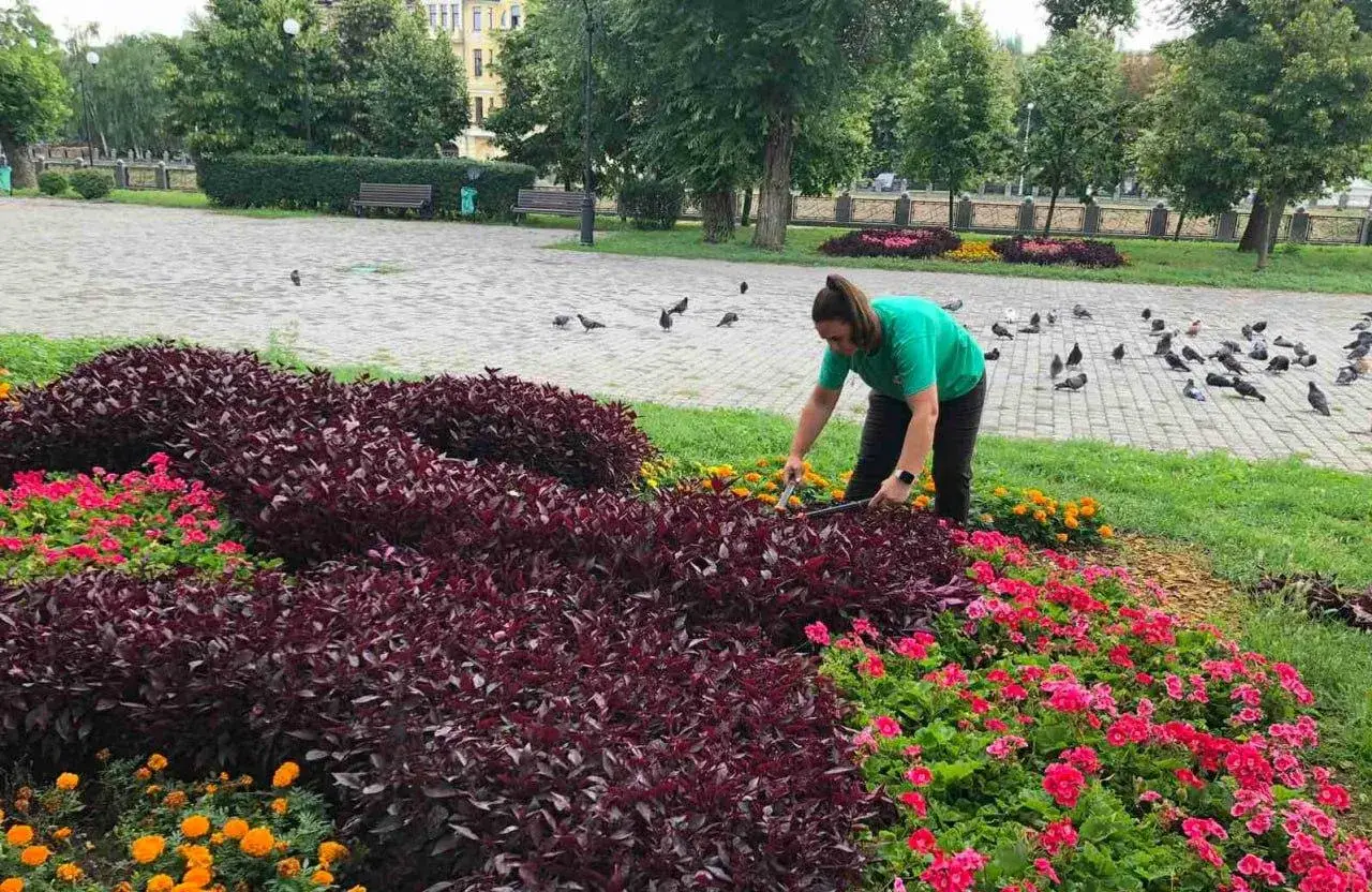 Харків’яни отримали чисті вулиці приватного сектору та тисячі нових квітів