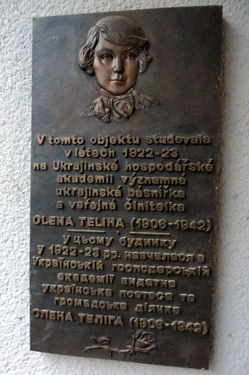 Празький перон і жовтий колір, який означає не лише розлуку